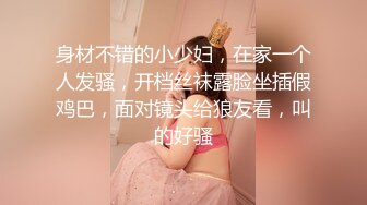 各种方法折磨性感丝袜美女空姐