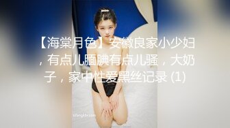 【海棠月色】安徽良家小少妇，有点儿腼腆有点儿骚，大奶子，家中性爱黑丝记录 (1)