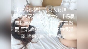 正入哈尔滨道里胖妹2