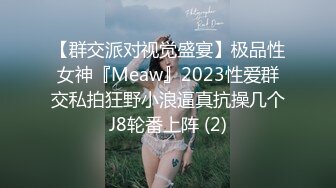 【群交派对视觉盛宴】极品性女神『Meaw』2023性爱群交私拍狂野小浪逼真抗操几个J8轮番上阵 (2)