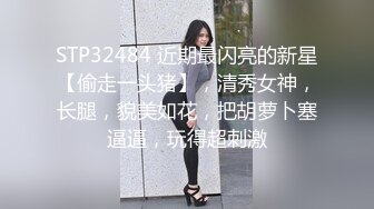 十一月新流出 私房大神极品收藏 商场女厕全景后拍系列 黑衣小美女放个屁拉稀 (1)