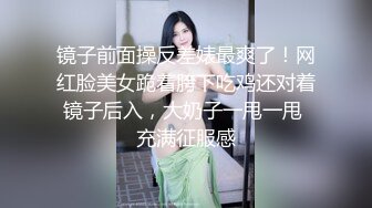 云上会所KTV之偷拍女厕所YSHS (27)