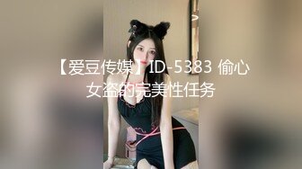 【爱豆传媒】ID-5383 偷心女盗的完美性任务