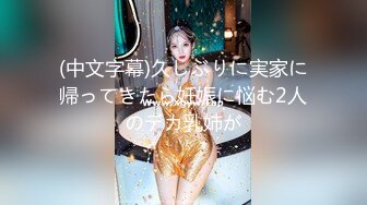 (中文字幕)久しぶりに実家に帰ってきたら妊娠に悩む2人のデカ乳姉が