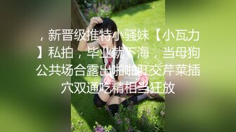 麻豆传媒 MDHT0016 奇淫旅社 女总裁的性交易 夏晴子