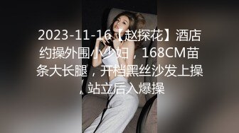 2023-11-16【赵探花】酒店约操外围小少妇，168CM苗条大长腿，开档黑丝沙发上操，站立后入爆操