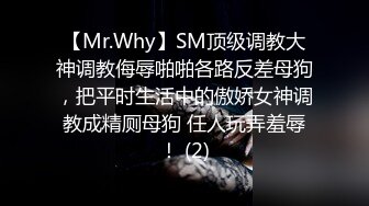 【Mr.Why】SM顶级调教大神调教侮辱啪啪各路反差母狗，把平时生活中的傲娇女神调教成精厕母狗 任人玩弄羞辱！ (2)