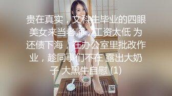 【赵伊彤】秀人极品乳神，抖音吊钟巨乳网红定制福利，4套情趣衣，道具自慰，天生完美炮架子 (3)