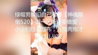 绿帽男偷拍自己老婆【神魂颠倒520】逛一天街还要做爱，小少妇任君摆布，连插两炮才有点儿兴致