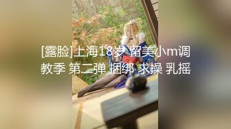 麻豆传媒-宋甜甜兽欲交欢女学员双人瑜伽性爱法门