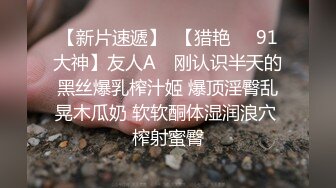 【一哥探花】3500网约极品外围小姐姐，清纯温柔高颜值，沙发啪啪劲爆刺激