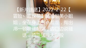 【新片速遞】2022-2-22【冒险丶雷探花】圆脸甜美小姐姐，坐在身上有点羞涩，掏出JB一顿吸骚起来，边口边说骚话，骑乘猛操大屁股