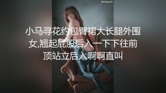 性感的丝袜少妇