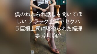 僕のねとられ話しを聞いてほしい ブラック企業でセクハラ巨根上司に寝盗られた経理妻 涼川絢音