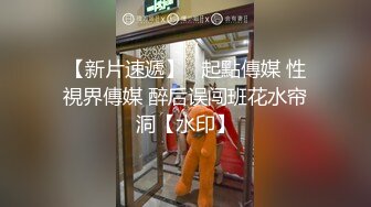 国产AV 大象传媒 直击毒枭淫乱派对 张雅婷