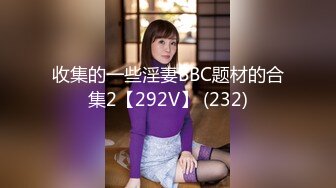 收集的一些淫妻BBC题材的合集2【292V】 (232)