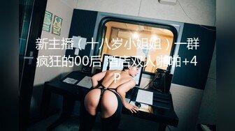 Al&mdash;刘诗诗 家政少妇