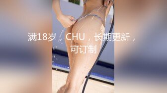 满18岁，CHU，长期更新，可订制