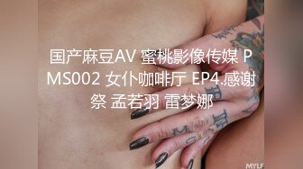 277DCV-029 家まで送ってイイですか？ case.29 シリーズ№1の敏感娘は黒木メ○サ似の名古屋出身・銭ゲバハーフ系美女！！『私NOって言えないんです…』 (黒瀬萌衣)