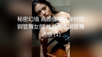 秘密幻境 高颜值极品身材的钢管舞女郎 性感内衣钢管舞诱惑 (1)