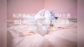 私房最新流出【推特 SM大表姐】网红反差母狗 露出羞辱调教，第二弹