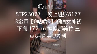 STP28020 极品尤物网红女神！男主不在自慰！情趣装手指扣逼，水声哗哗呻吟堪比女优，一脸享受太骚了 VIP0600