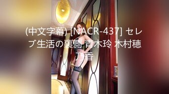 REIPON-日本淫妻露出手工去重合集【388V】 (172)