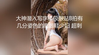 大神潜入写字楼极限贴B拍有几分姿色的高跟鞋少妇 超刺激