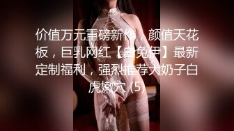 价值万元重磅新作，颜值天花板，巨乳网红【白兔伊】最新定制福利，强烈推荐大奶子白虎嫩穴 (5)