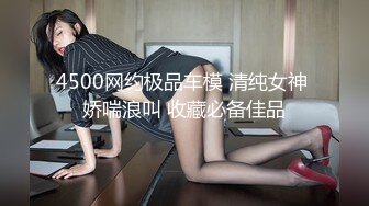 4500网约极品车模 清纯女神 娇喘浪叫 收藏必备佳品