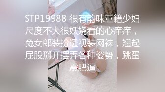 STP19988 很有韵味亚籍少妇尺度不大很妖娆看的心痒痒，兔女郎装扮透视装网袜，翘起屁股掰开摆弄各种姿势，跳蛋震肥逼