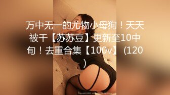 麻豆传媒 MD-0230-1 家族团员年夜饭❤️母女乱伦