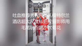 吐血推荐秀人网美乳模特尔兰酒店超大尺度私拍被摄影师用毛笔玩粉嫩小穴菊花