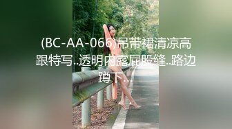 (BC-AA-066)吊带裙清凉高跟特写..透明内露屁股缝..路边蹲下…