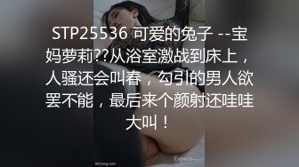 是三不是世w 碧蓝航线能代女仆