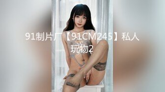 91制片厂【91CM245】私人玩物2