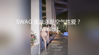 SWAG 实战还是空气性爱？ Minicat