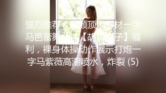 手机ＮＴＲ～我的女友和资本家大叔干爹的线下抽插