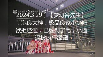 2024.3.29，【梦幻谷先生】，泡良大神，极品良家小少妇欲拒还迎，已经剃了毛，小逼逼被疯狂蹂躏