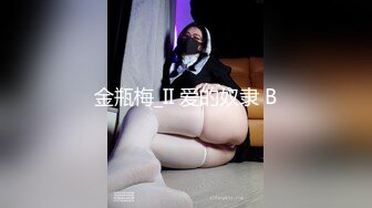 金瓶梅_II 爱的奴隶 B