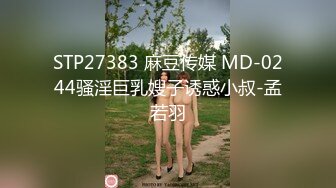 STP27383 麻豆传媒 MD-0244骚淫巨乳嫂子诱惑小叔-孟若羽