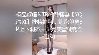 极品绿帽NTR翘臀骚妻【YQ清风】推特福利，约炮单男3P上下洞齐开，完美蜜桃臀全自动