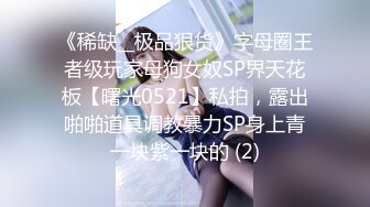 《稀缺__极品狠货》字母圈王者级玩家母狗女奴SP界天花板【曙光0521】私拍，露出啪啪道具调教暴力SP身上青一块紫一块的 (2)