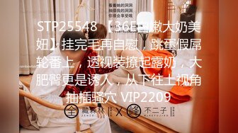 STP25548 【36E白嫩大奶美妞】挂完毛再自慰，跳蛋假屌轮番上，透视装撩起露奶，大肥臀更是诱人，从下往上视角抽插骚穴 VIP2209