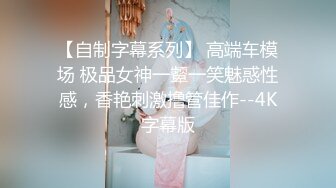 【自制字幕系列】 高端车模场 极品女神一颦一笑魅惑性感，香艳刺激撸管佳作--4K字幕版