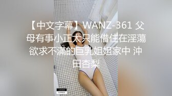 【中文字幕】WANZ-361 父母有事小正太只能借住在淫蕩欲求不滿的巨乳姐姐家中 沖田杏梨