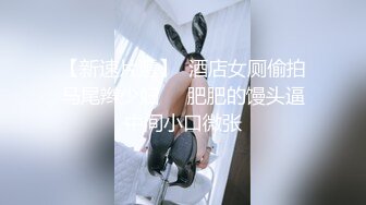 工作的女性  vol.15