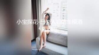 小宝探花-已为人妇的车模酒店约炮