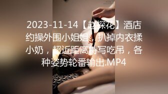 2023-11-14【赵探花】酒店约操外围小姐姐，扒掉内衣揉小奶，超近距离特写吃吊，各种姿势轮番输出.MP4