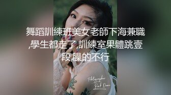 深夜跟甜美小少妇玩个车震，温柔的口交奶子不小玩个乳交，主动插入爆草下车后入深夜里的呻吟好刺激